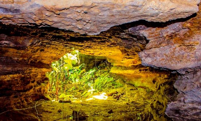 thuê xe đi bắc kạn thuê xe đi bắc kạn