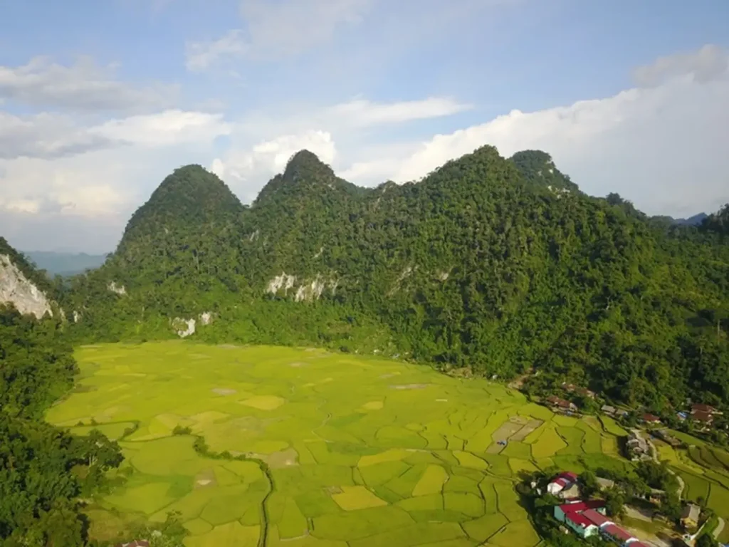 Khu bảo tồn thiên nhiên Kim Hỷ